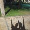 Mostafa