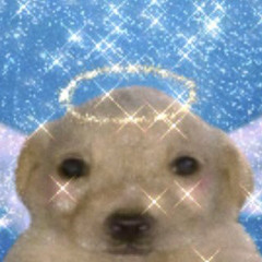 J☆彡