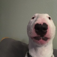 ajub