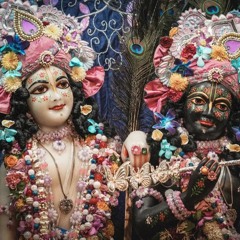 Avni Ladwa