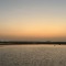 F_alsaifan