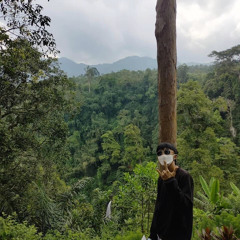 Theo ginting