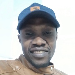 حامد النموشي