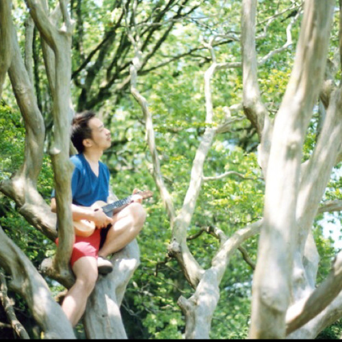 Swallowtail Butterfly~あいのうた~ / YEN TOWN BAND（cover）