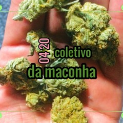 coletivo da maconha