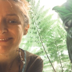 dalia