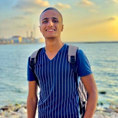 Mohamed Ibrahim
