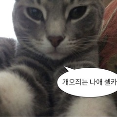 쥬니