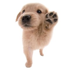 Курил много