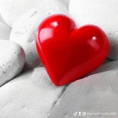 اغنية اسف جدا   مصطفي كامل