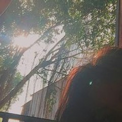 Nguyen Hoai Yen Nhu
