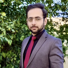 Le Ali Zain