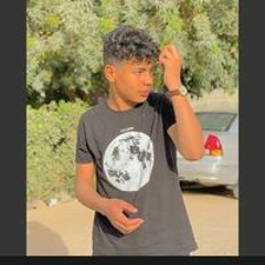 محمد ربيع