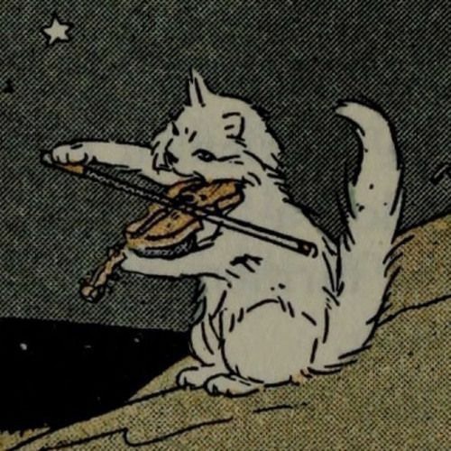 the street cat’s avatar