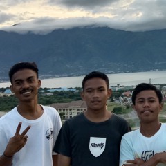 Lvr palu