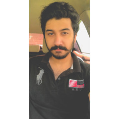 Adeel Warraich