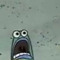 *zlone?
