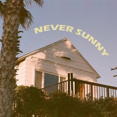 Never Sunny