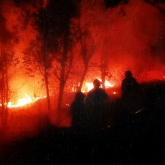 Natural Disaster