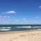 Sweet B 🐝🏝⚾️