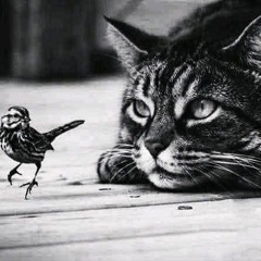 ابو ياسين الليبي