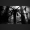 DARK SOUND SYSTEM