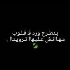 Elsied Mahgop