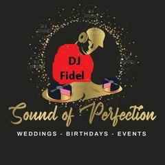 DJ Fidel