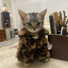 Gio
