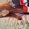 Pame