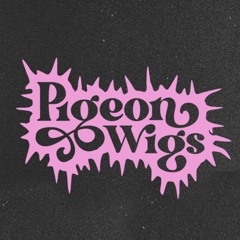 Pigeon Wigs