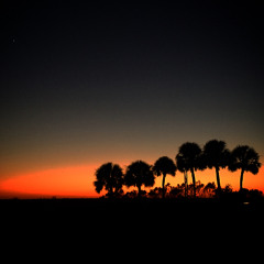 305alive