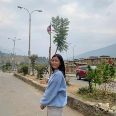 cho dyn