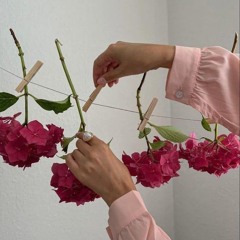 اغاني لن تصل،؛