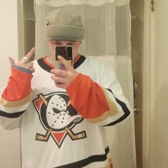 Shoddy2Dome