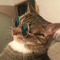kool_kat