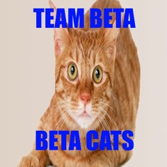 TEAMBETABETACATS!