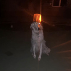 lumapop