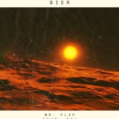 Mr. Flip