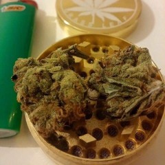 Citybambajus
