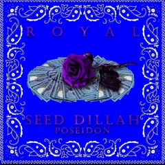 SEED DILLAH22