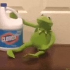 kirmit the frog