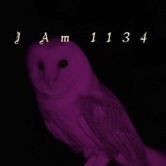 I Am 1134
