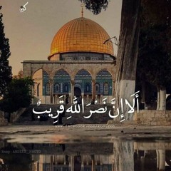 ابو حنين المصري