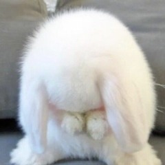ㅋㅋㅆㅅㅌㅊ