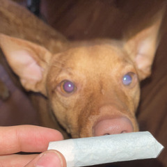 UnkleLeeno