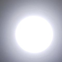 abimayu