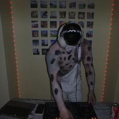 Dj booly
