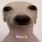 pooman