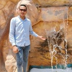 محمد الغزولى